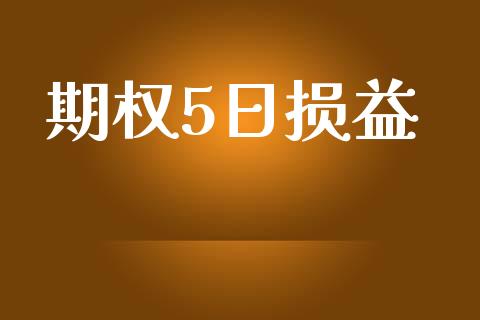 期权5日损益_https://m.eyunqq.com_基金交易_第1张