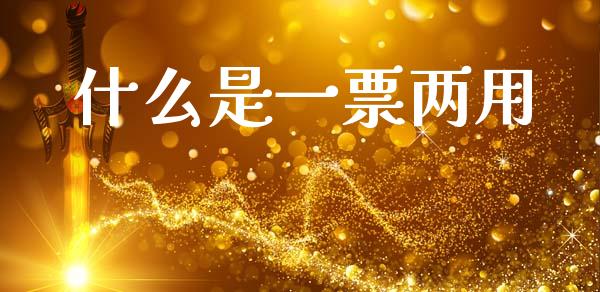 什么是一票两用_https://m.eyunqq.com_融资融券_第1张