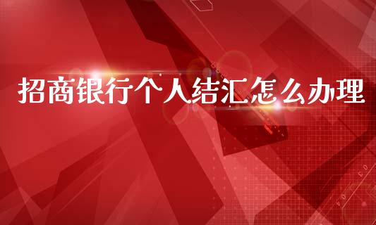 招商银行个人结汇怎么办理_https://m.eyunqq.com_融资融券_第1张