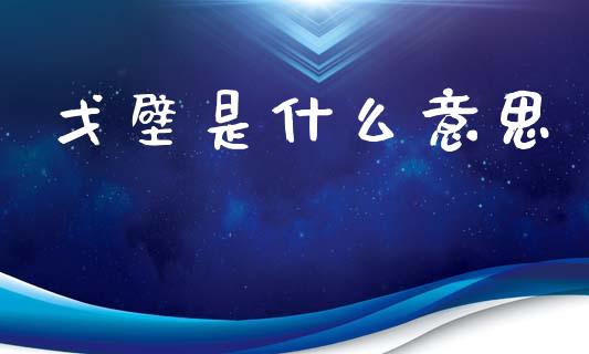 戈壁是什么意思_https://m.eyunqq.com_新股申购_第1张