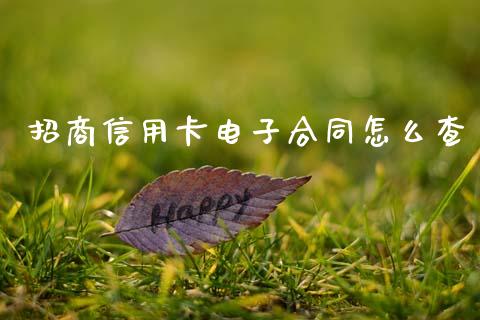 招商信用卡电子合同怎么查_https://m.eyunqq.com_期货投资学习_第1张