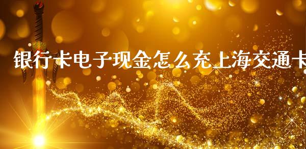 银行卡电子现金怎么充上海交通卡_https://m.eyunqq.com_融资融券_第1张