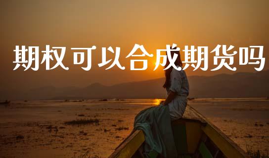 期权可以合成期货吗_https://m.eyunqq.com_融资融券_第1张