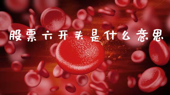 股票六开头是什么意思_https://m.eyunqq.com_新股申购_第1张