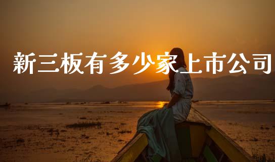 新三板有多少家上市公司_https://m.eyunqq.com_基金交易_第1张