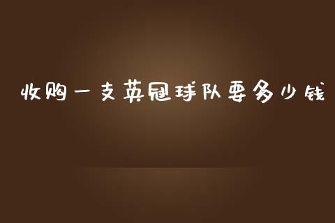 收购一支英冠球队要多少钱_https://m.eyunqq.com_融资融券_第1张