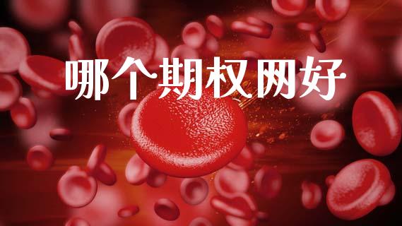 哪个期权网好_https://m.eyunqq.com_新股申购_第1张