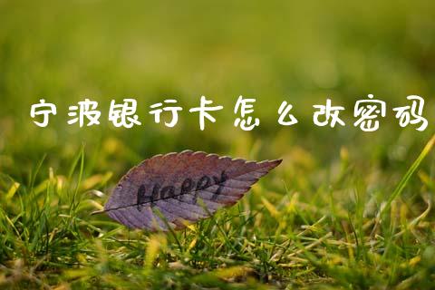 宁波银行卡怎么改密码_https://m.eyunqq.com_基金交易_第1张