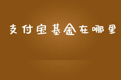 支付宝基金在哪里_https://m.eyunqq.com_期货投资学习_第1张
