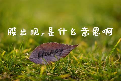 股出现r是什么意思啊_https://m.eyunqq.com_新股申购_第1张