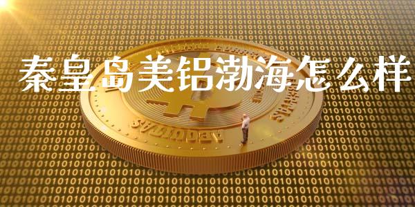 秦皇岛美铝渤海怎么样_https://m.eyunqq.com_基金交易_第1张