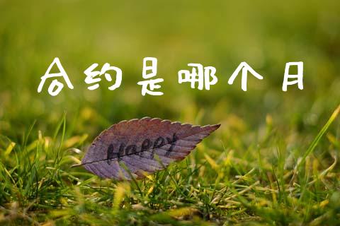 合约是哪个月_https://m.eyunqq.com_期货投资学习_第1张
