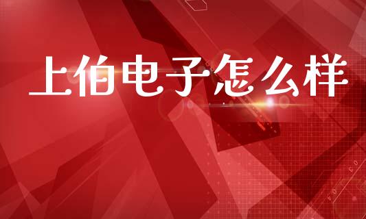 上伯电子怎么样_https://m.eyunqq.com_新股申购_第1张