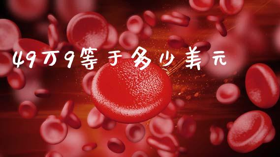 49万9等于多少美元_https://m.eyunqq.com_基金交易_第1张