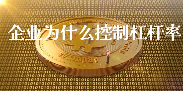 企业为什么控制杠杆率_https://m.eyunqq.com_融资融券_第1张