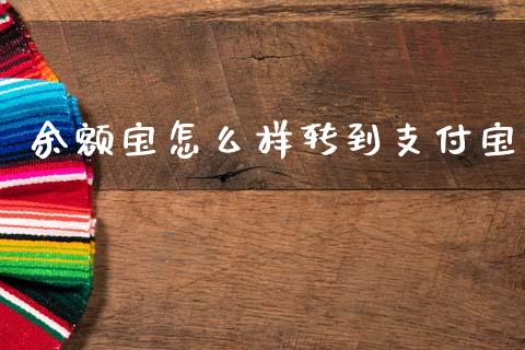 余额宝怎么样转到支付宝_https://m.eyunqq.com_融资融券_第1张