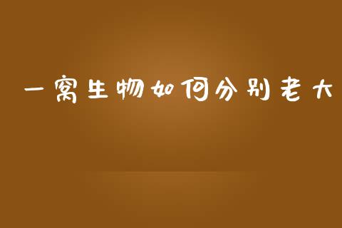 一窝生物如何分别老大_https://m.eyunqq.com_期货投资学习_第1张
