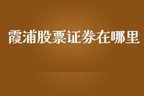 霞浦股票证券在哪里_https://m.eyunqq.com_期货投资学习_第1张