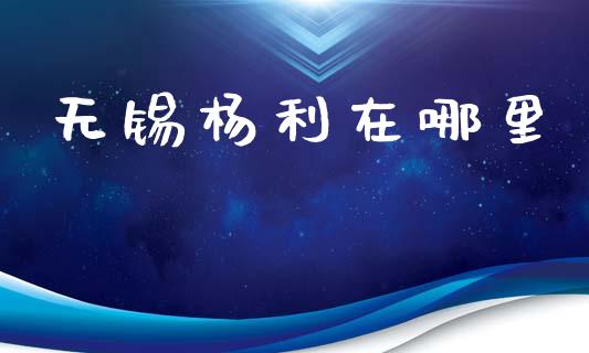 无锡杨利在哪里_https://m.eyunqq.com_融资融券_第1张