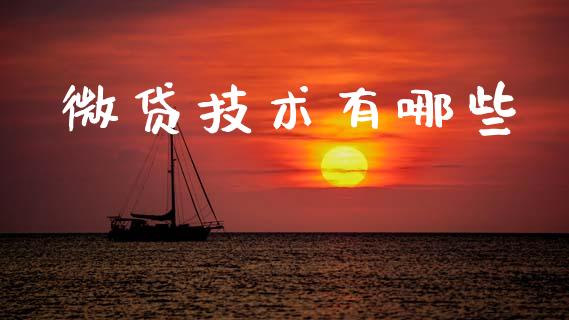 微贷技术有哪些_https://m.eyunqq.com_基金交易_第1张