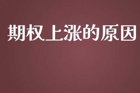 期权上涨的原因_https://m.eyunqq.com_期货投资学习_第1张