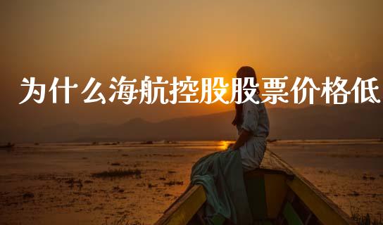 为什么海航控股股票价格低_https://m.eyunqq.com_基金交易_第1张