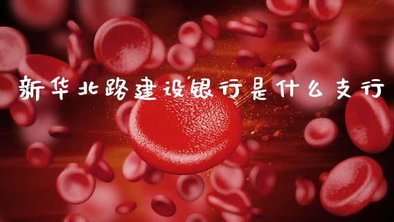 新华北路建设银行是什么支行_https://m.eyunqq.com_新股申购_第1张