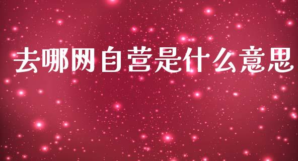 去哪网自营是什么意思_https://m.eyunqq.com_融资融券_第1张