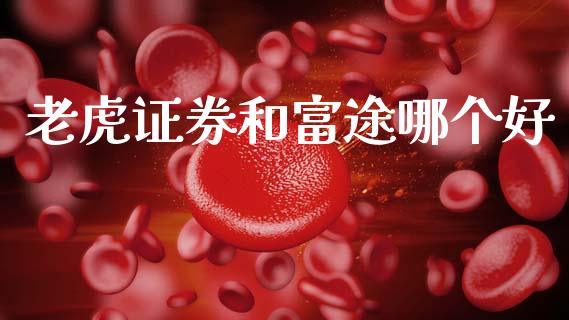 老虎证券和富途哪个好_https://m.eyunqq.com_期货投资学习_第1张
