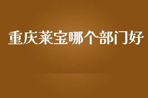 重庆莱宝哪个部门好_https://m.eyunqq.com_新股申购_第1张