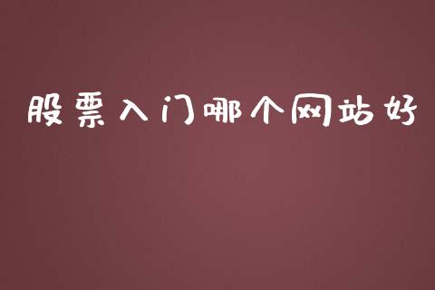 股票入门哪个网站好_https://m.eyunqq.com_基金交易_第1张