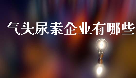 气头尿素企业有哪些_https://m.eyunqq.com_基金交易_第1张