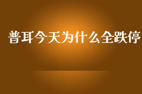 普耳今天为什么全跌停_https://m.eyunqq.com_期货投资学习_第1张