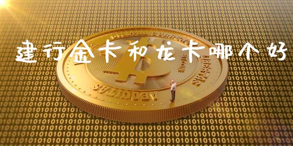 建行金卡和龙卡哪个好_https://m.eyunqq.com_新股申购_第1张