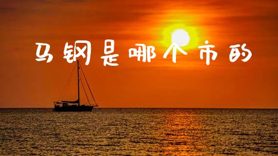 马钢是哪个市的_https://m.eyunqq.com_新股申购_第1张