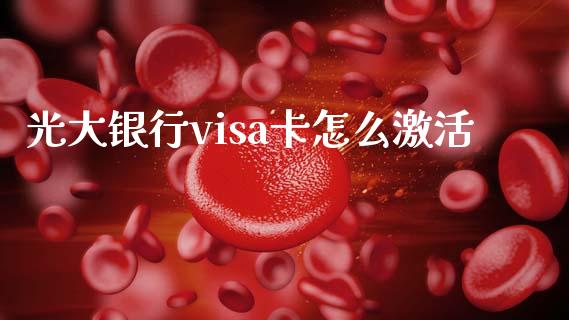 光大银行visa卡怎么激活_https://m.eyunqq.com_新股申购_第1张