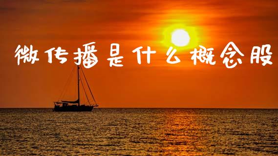 微传播是什么概念股_https://m.eyunqq.com_新股申购_第1张