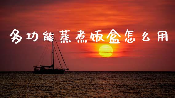 多功能蒸煮饭盒怎么用_https://m.eyunqq.com_新股申购_第1张