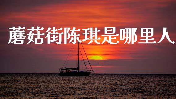 蘑菇街陈琪是哪里人_https://m.eyunqq.com_期货投资学习_第1张