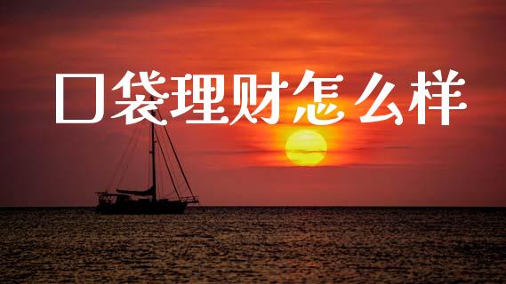 囗袋理财怎么样_https://m.eyunqq.com_期货投资学习_第1张