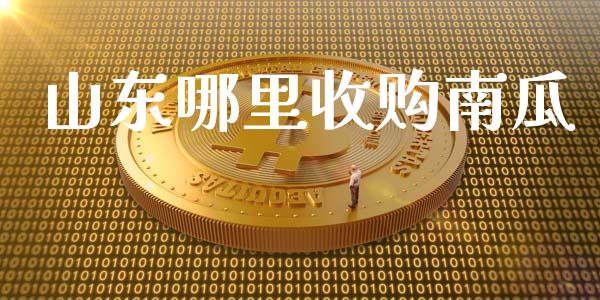山东哪里收购南瓜_https://m.eyunqq.com_期货投资学习_第1张