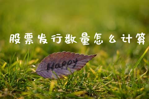 股票发行数量怎么计算_https://m.eyunqq.com_期货投资学习_第1张