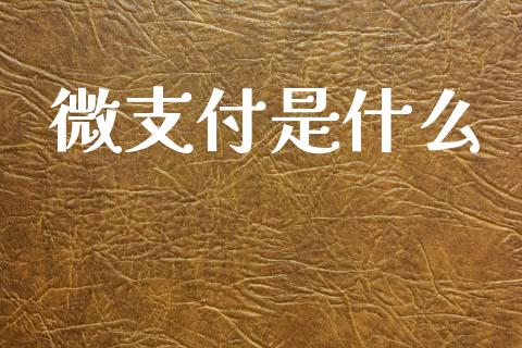 微支付是什么_https://m.eyunqq.com_基金交易_第1张